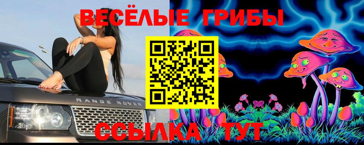 Псилоцибиновые грибы ЛСД Железногорск
